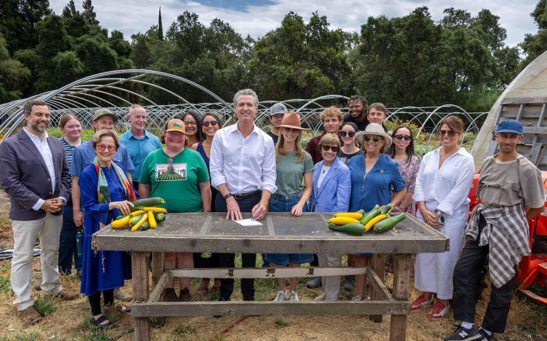 From Farm to Lunchbox: California Secures Permanent Funding for Fresh School Meals