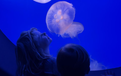 A Visit to the Monterey Bay Aquarium